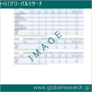 グローバルリサーチ調査レポートのイメージ